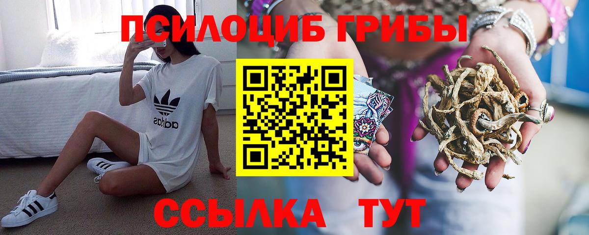 Галлюциногенные грибы мицелий  Вход с VPN  Новый Уренгой  Галлюциногенные грибы GOLDEN TEACHER 